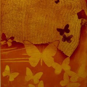 Farvetræsnit
Indrammet